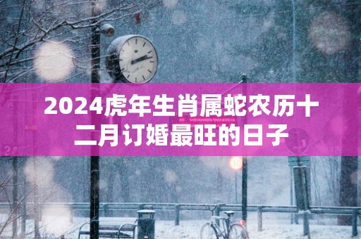 2024虎年生肖属蛇农历十二月订婚最旺的日子