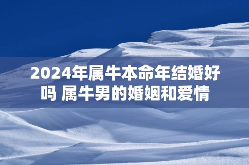 2024年属牛本命年结婚好吗 属牛男的婚姻和爱情