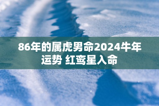 86年的属虎男命2024牛年运势 红鸾星入命