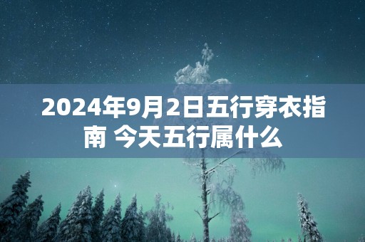 2025年9月2日五行穿衣指南 今天五行属什么