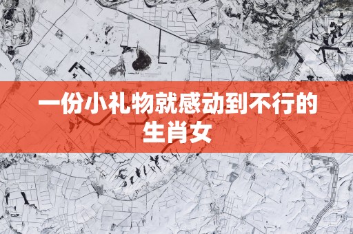 一份小礼物就感动到不行的生肖女