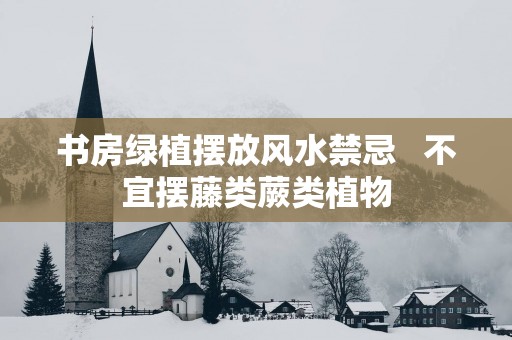书房绿植摆放风水禁忌   不宜摆藤类蕨类植物