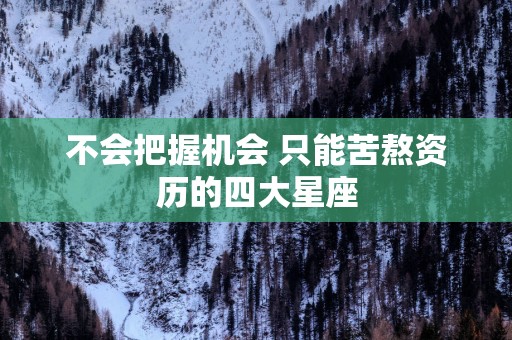 不会把握机会 只能苦熬资历的四大星座