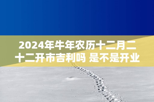 2025年蛇年农历十二月二十二开市吉利吗 是不是开业黄道吉日