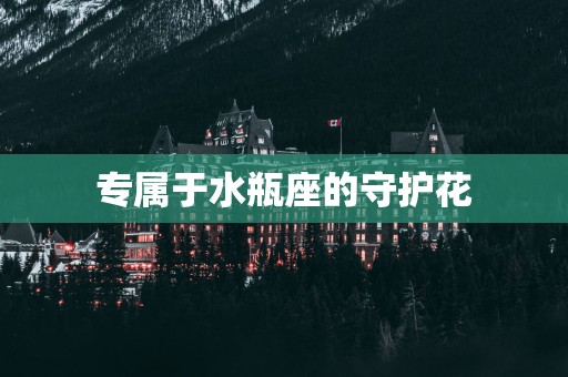 专属于水瓶座的守护花