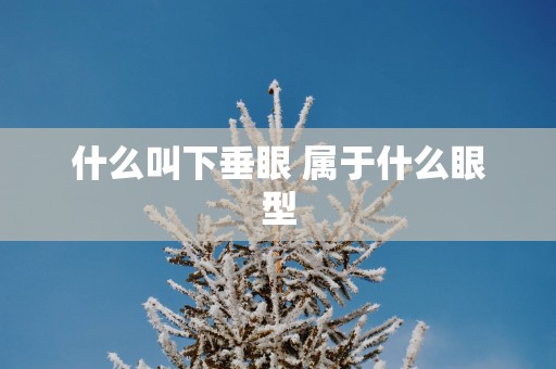 什么叫下垂眼 属于什么眼型