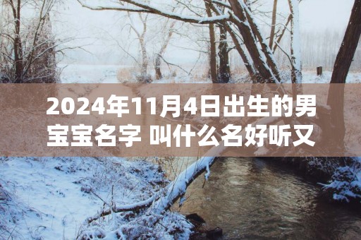 2025年11月4日出生的男宝宝名字 叫什么名好听又吉利