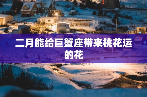 二月能给巨蟹座带来桃花运的花
