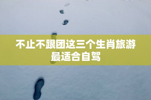 不止不跟团这三个生肖旅游最适合自驾