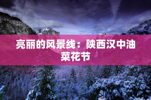 亮丽的风景线：陕西汉中油菜花节