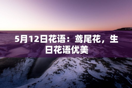 5月12日花语：鸢尾花，生日花语优美