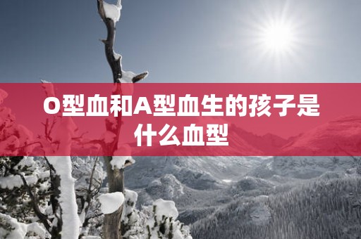 O型血和A型血生的孩子是什么血型