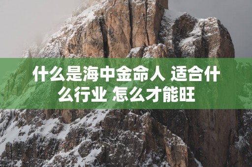 什么是海中金命人 适合什么行业 怎么才能旺