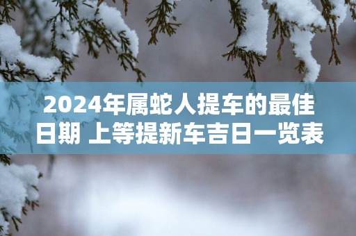 2024年属蛇人提车的最佳日期 上等提新车吉日一览表