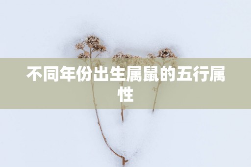 不同年份出生属鼠的五行属性