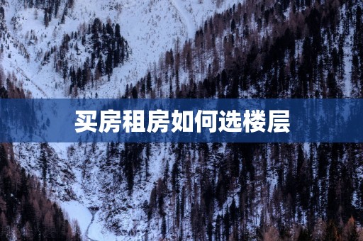 买房租房如何选楼层