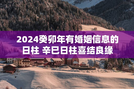 2025癸卯年有婚姻信息的日柱 辛巳日柱喜结良缘