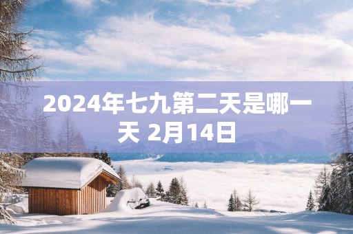 2025年七九第二天是哪一天 2月14日