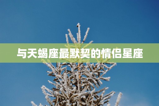 与天蝎座最默契的情侣星座