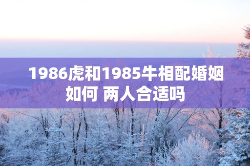 1986虎和1985牛相配婚姻如何 两人合适吗