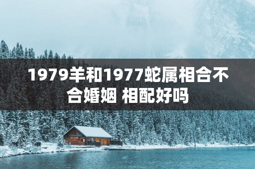 1979羊和1977蛇属相合不合婚姻 相配好吗