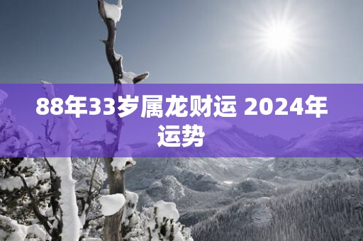 88年33岁属龙财运 2025年运势