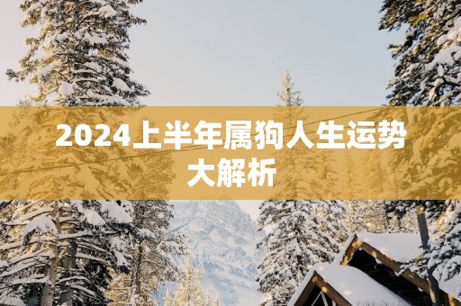 2024上半年属狗人生运势大解析