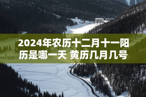 2025年农历十二月十一阳历是哪一天 黄历几月几号