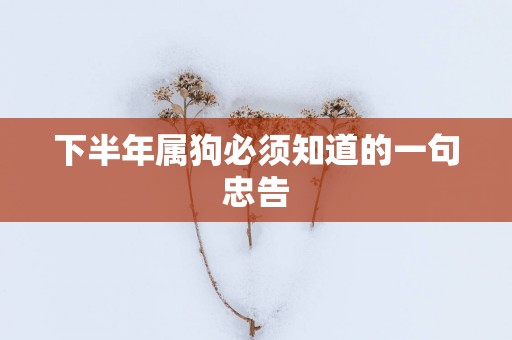 下半年属狗必须知道的一句忠告