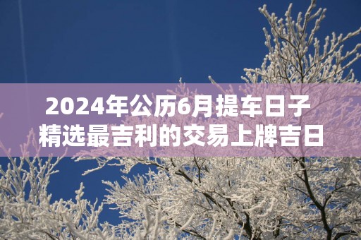 2025年公历6月提车日子 精选最吉利的交易上牌吉日