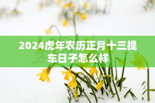 2025蛇年农历正月十三提车日子怎么样