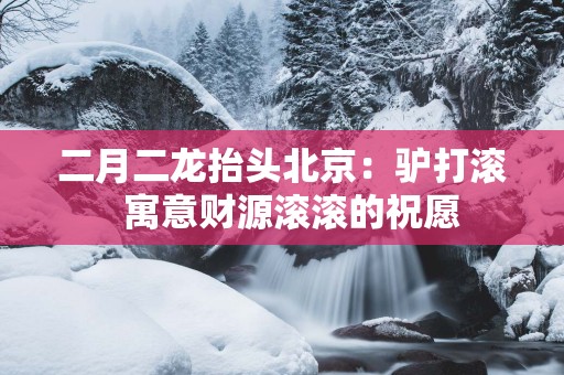 二月二龙抬头北京：驴打滚  寓意财源滚滚的祝愿