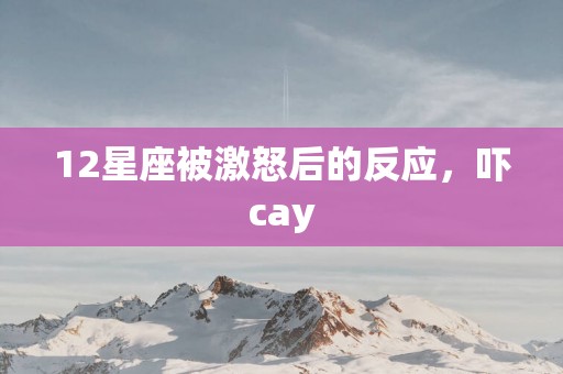 12星座被激怒后的反应，吓cay