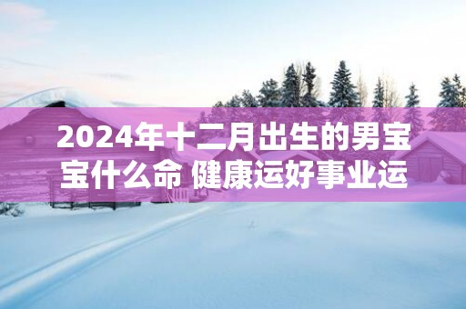 2025年十二月出生的男宝宝什么命 健康运好事业运旺婚姻幸福