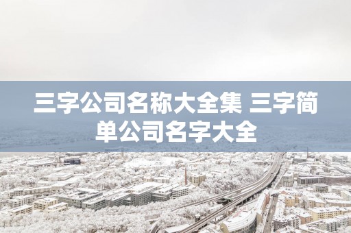 三字公司名称大全集 三字简单公司名字大全