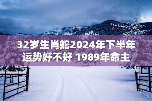 32岁生肖蛇2025年下半年运势好不好 1989年命主