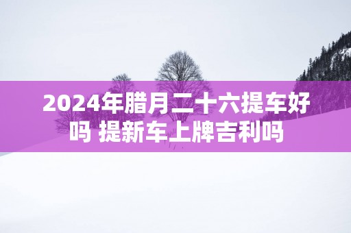 2025年腊月二十六提车好吗 提新车上牌吉利吗