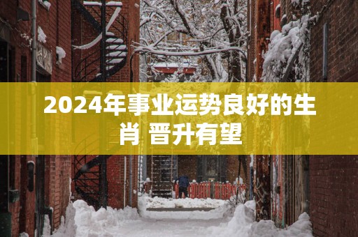 2025年事业运势良好的生肖 晋升有望