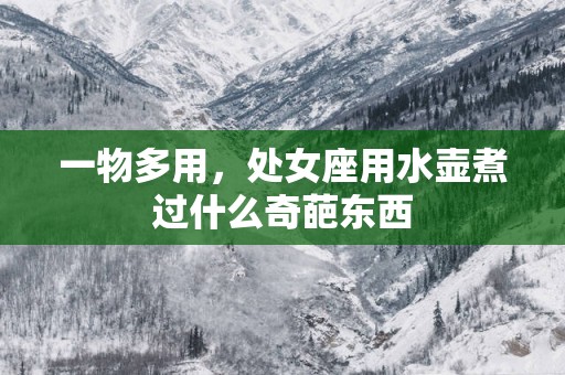 一物多用，处女座用水壶煮过什么奇葩东西