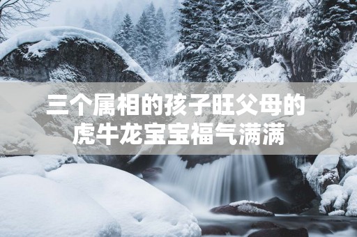 三个属相的孩子旺父母的 虎牛龙宝宝福气满满