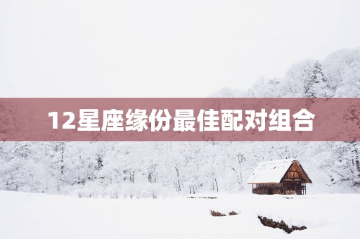 12星座缘份最佳配对组合