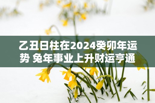乙丑日柱在2025癸卯年运势 蛇年事业上升财运亨通