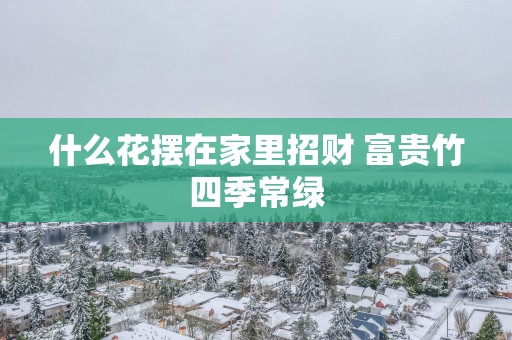 什么花摆在家里招财 富贵竹四季常绿