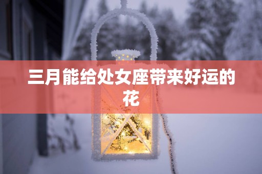 三月能给处女座带来好运的花