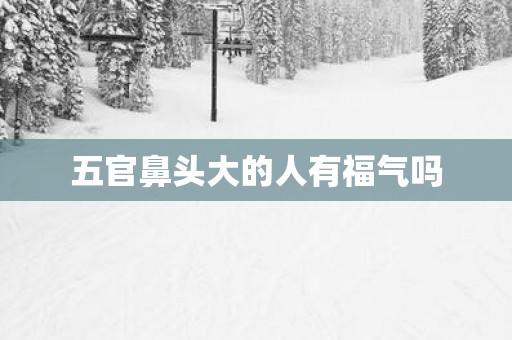 五官鼻头大的人有福气吗