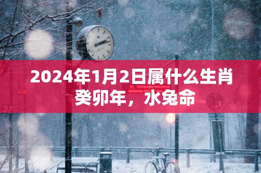 2025年1月2日属什么生肖  癸卯年，水兔命