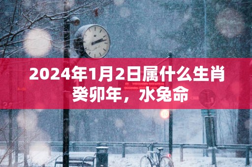 2024年1月2日属什么生肖 癸卯年，水兔命