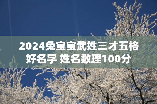 2024兔宝宝武姓三才五格好名字 姓名数理100分