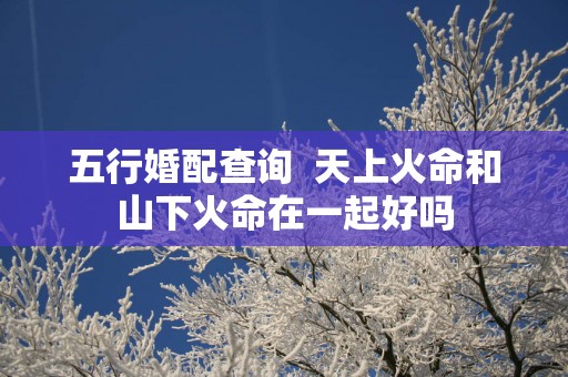五行婚配查询  天上火命和山下火命在一起好吗
