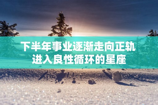下半年事业逐渐走向正轨 进入良性循环的星座